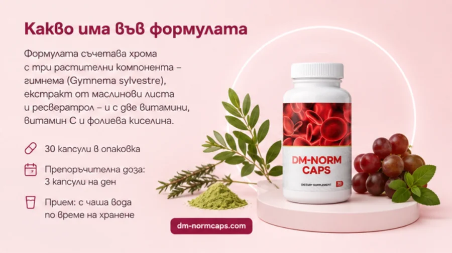 DM-Norm — капсули и съставките на формулата